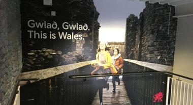 Wall Graphics & Signage