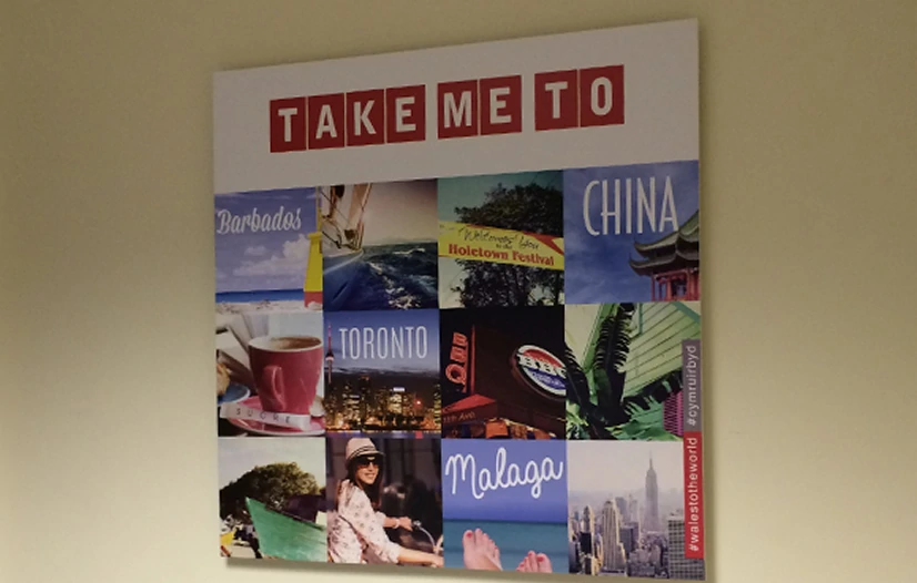 Foamex Display Boards