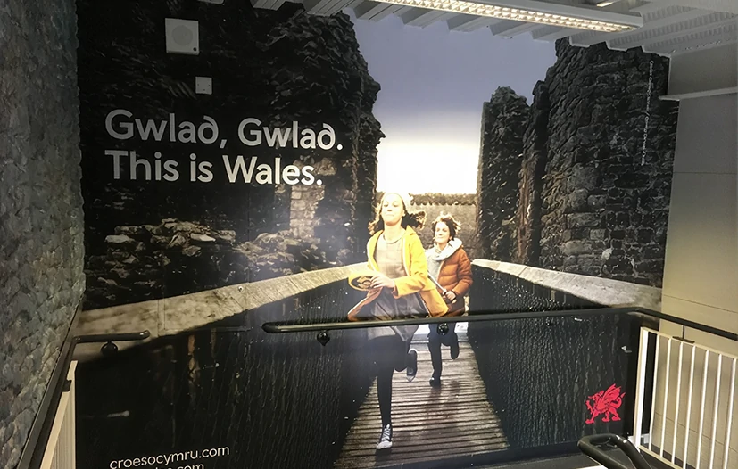 Wall Graphics & Signage